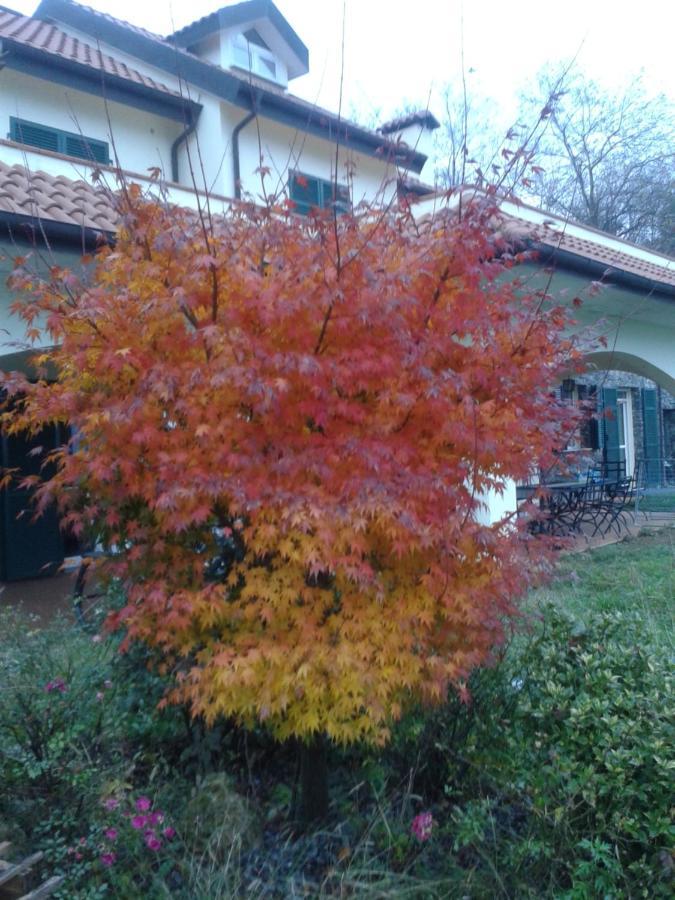 B&B Villa Paola Savona Exteriör bild